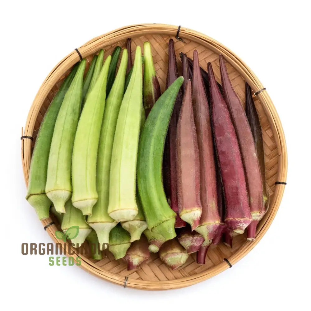 Okra - Heirloom Mix Seeds For Planting And Gardening Premium Quality Non-Gmo Varieties