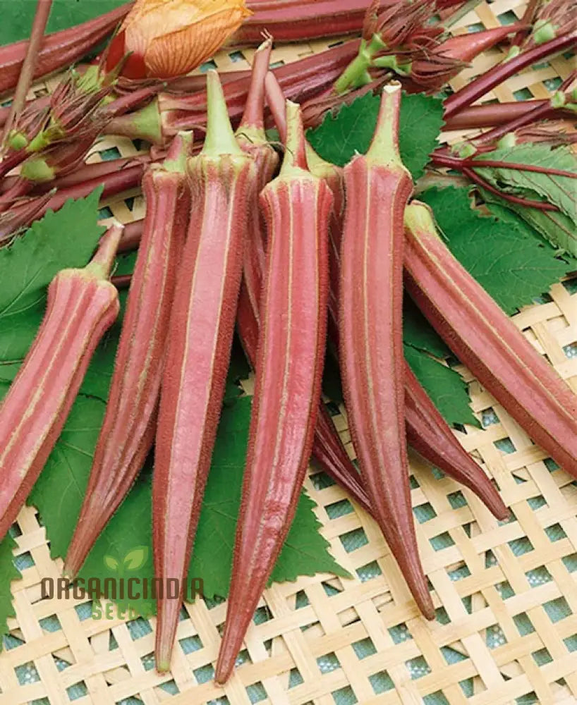 Okra - Heirloom Mix Seeds For Planting And Gardening Premium Quality Non-Gmo Varieties