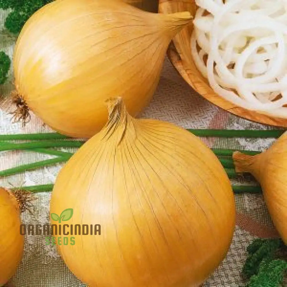 Onion Globo Seeds For Expert Gardening | High-Quality Your Garden