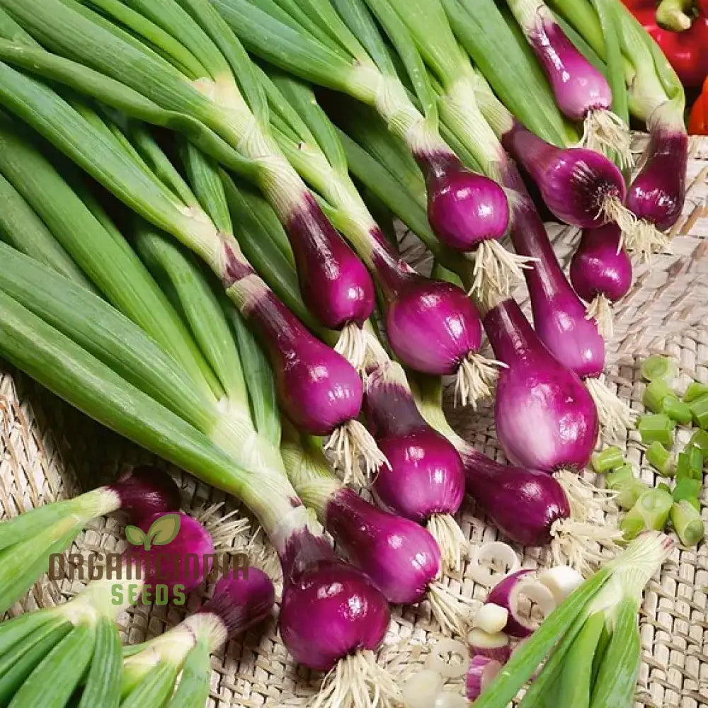 Onion Lilia Seeds For Planting Vibrant Gardens | Gardening