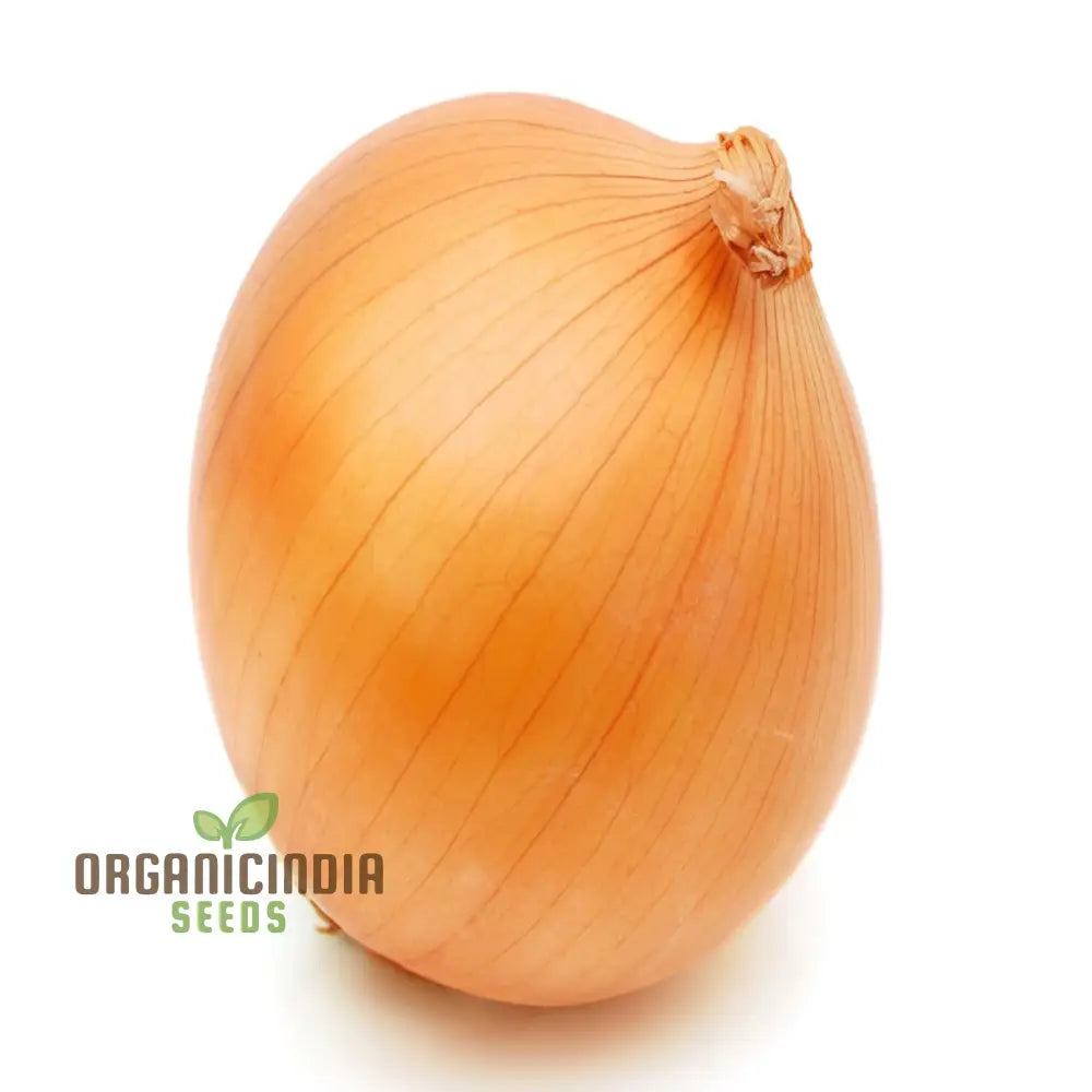 Orange Onion Vegetable Seeds Expert Planting And Gardening Tips For Growing Flavorful Nutritious