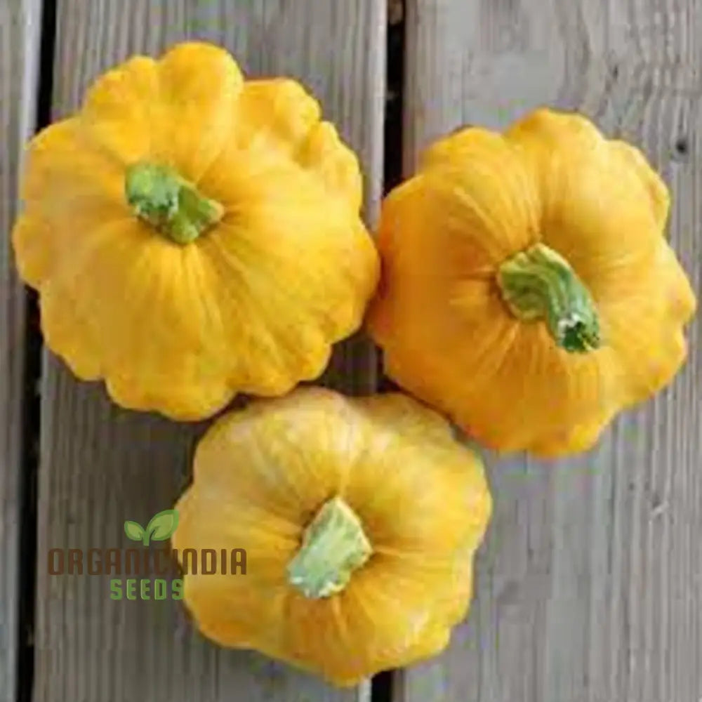 Organic Early Yellow Bush Scallop Patty Pan Squash Vegetable Seeds Fast-Growing Nutritious Summer