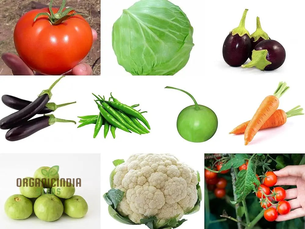 Organic Vegetable Seeds Combo - 10 Varieties For Gardening Enthusiasts