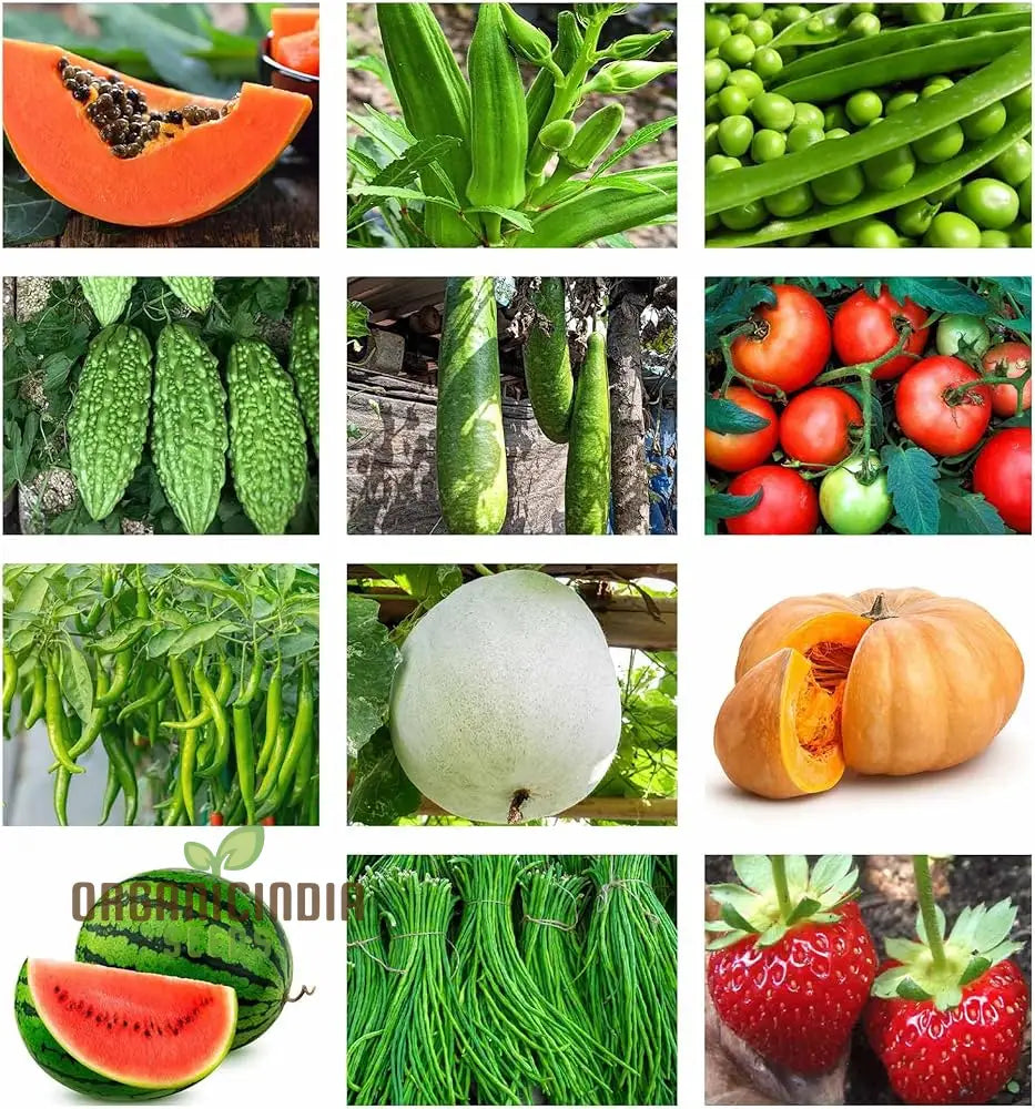 Organic Vegetable Seeds Combo - 10 Varieties For Gardening Enthusiasts