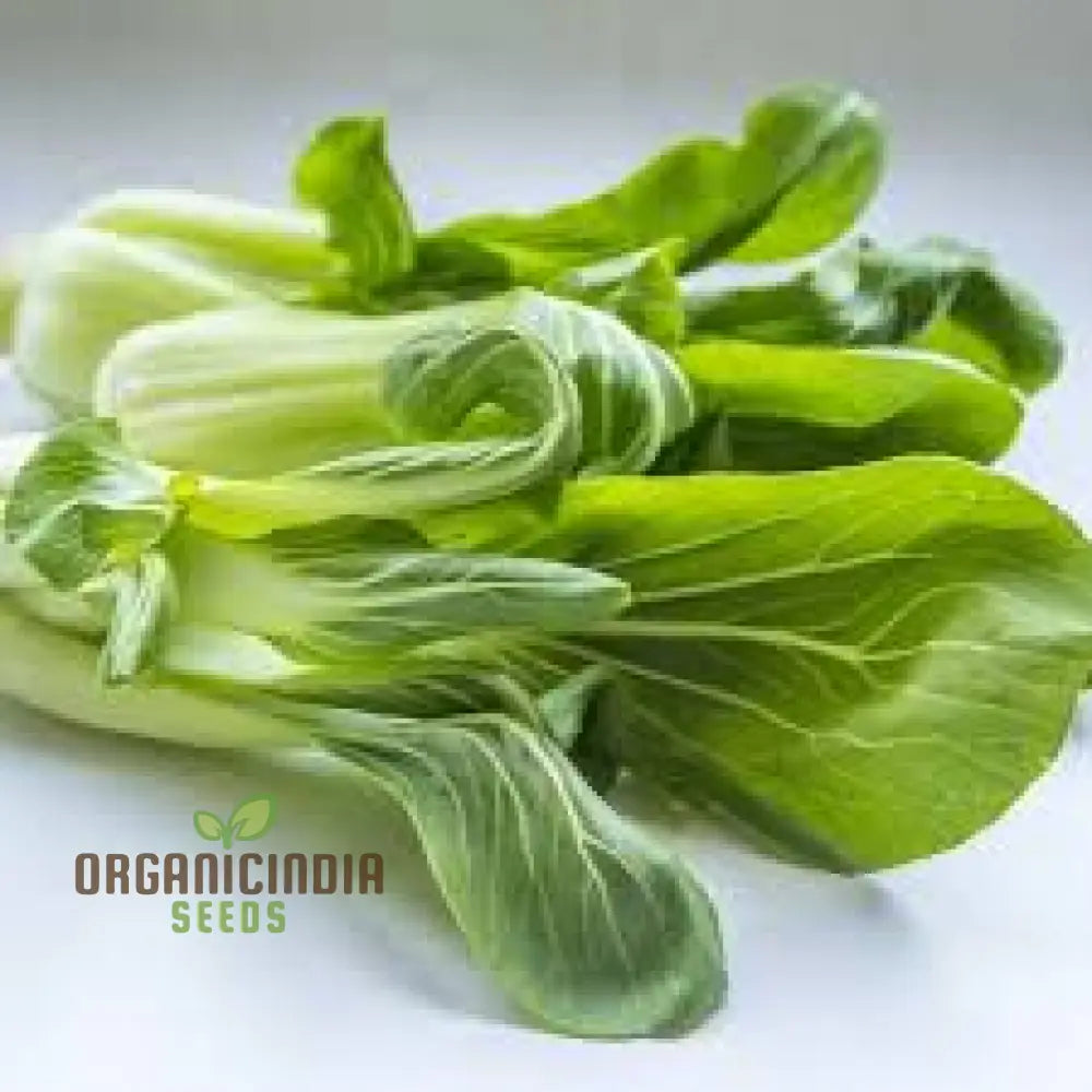 Organic White Pak Choi Seeds For Your Gardening Needs | Buy Online