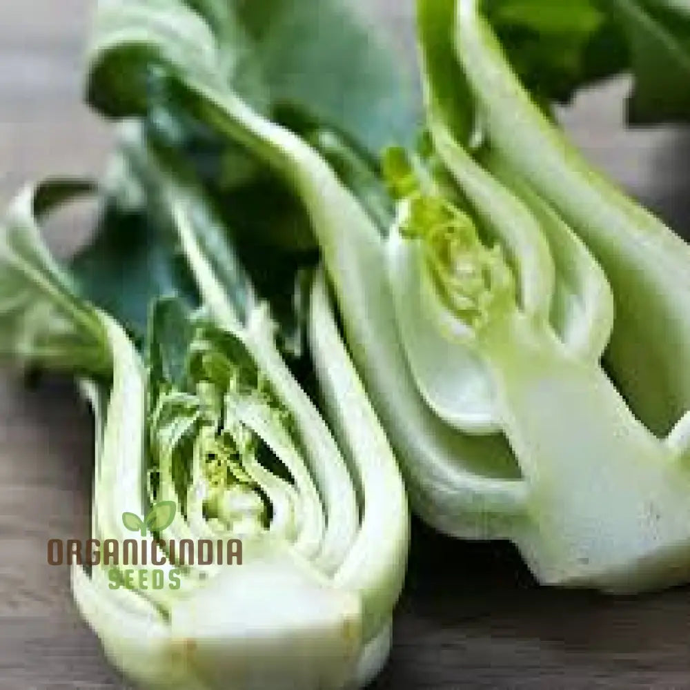 Organic White Pak Choi Seeds For Your Gardening Needs | Buy Online