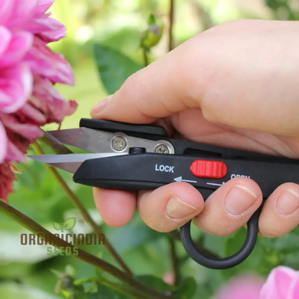 Organicindiaseeds Deadheading Snips (Color May Vary)