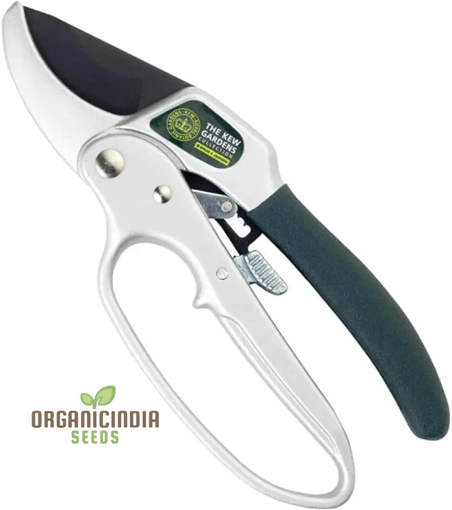 Organicindiaseeds Kew Gardens Ratchet Anvil Secateurs