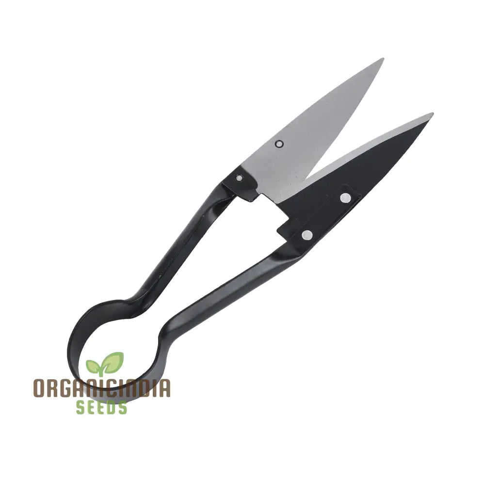 Organicindiaseeds:stainless Steel Topiary Shear Garden Shears