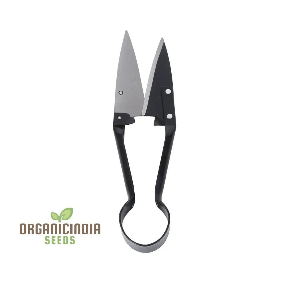 Organicindiaseeds:stainless Steel Topiary Shear Garden Shears