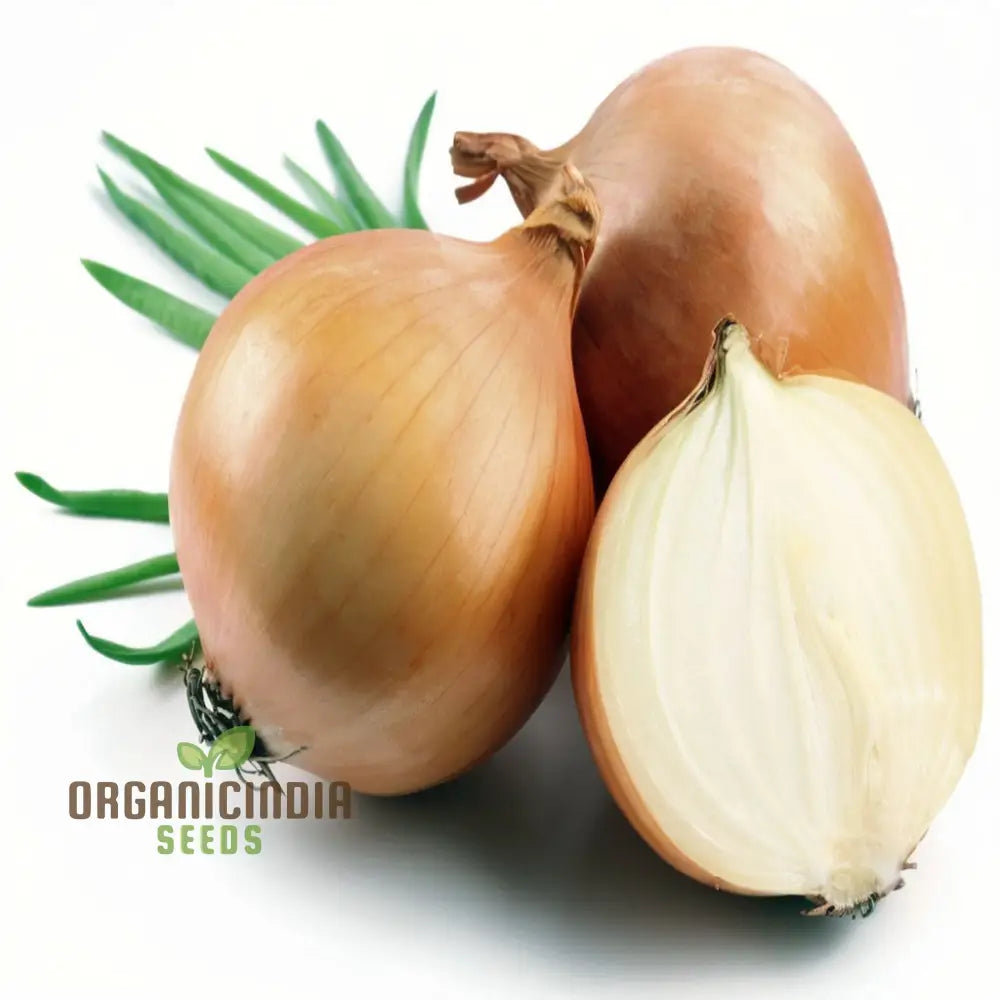 Overwinter Japanese Onion Seeds – Elevate Your Gardening With Resilient Flavorful Onions For All