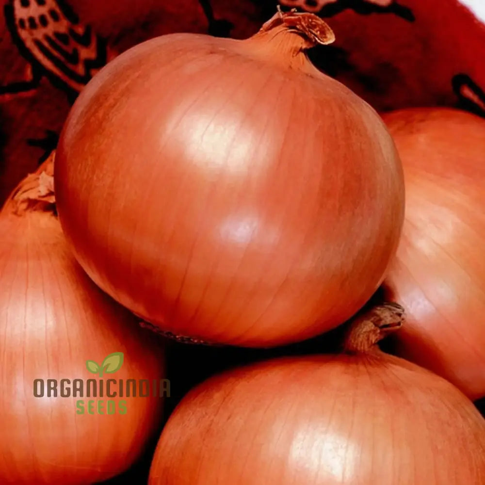 Overwinter Japanese Onion Seeds – Elevate Your Gardening With Resilient Flavorful Onions For All