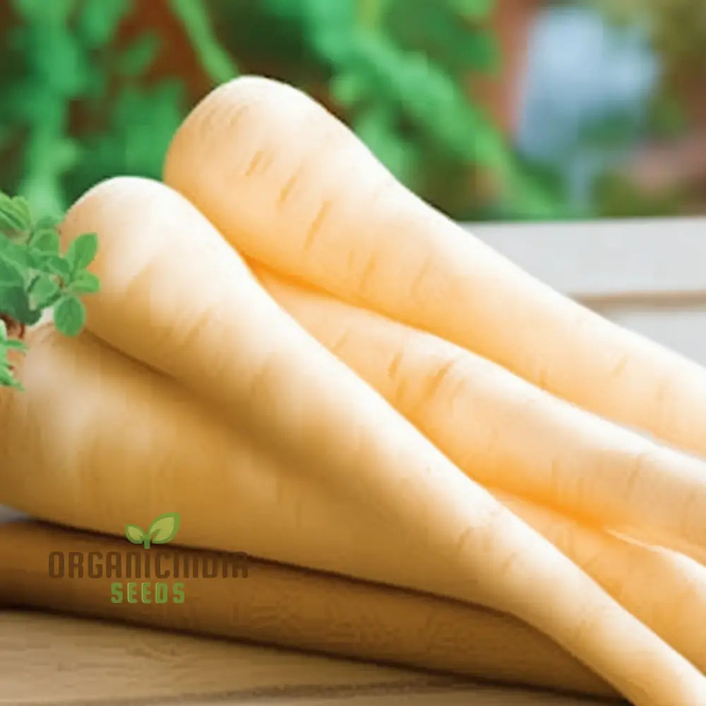 Parsnip Hollow Vegetable Seeds For A Flavorful And Nutritious Harvest