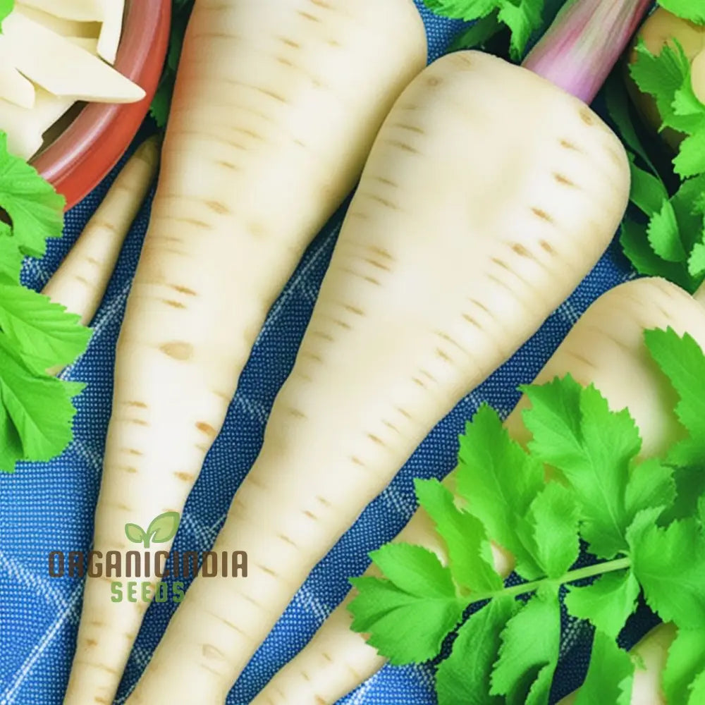 Parsnip Imperial Crown Vegetable Seeds For Planting And Home Gardening