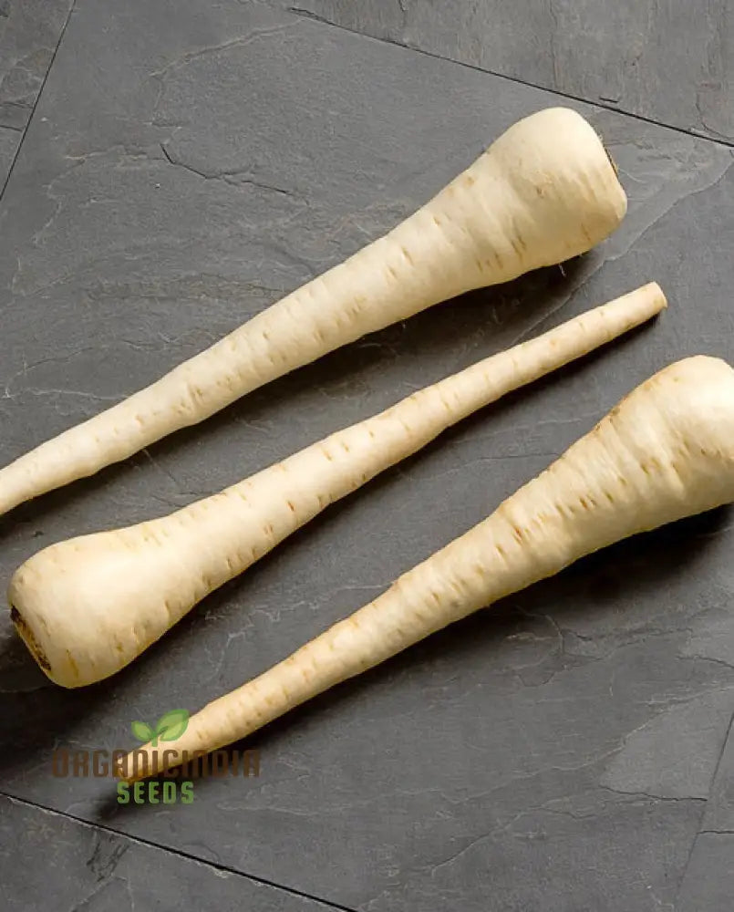 Parsnip Victor F1 Vegetable Seeds Cultivate Robust And Flavorful Parsnips With Expert Tips For