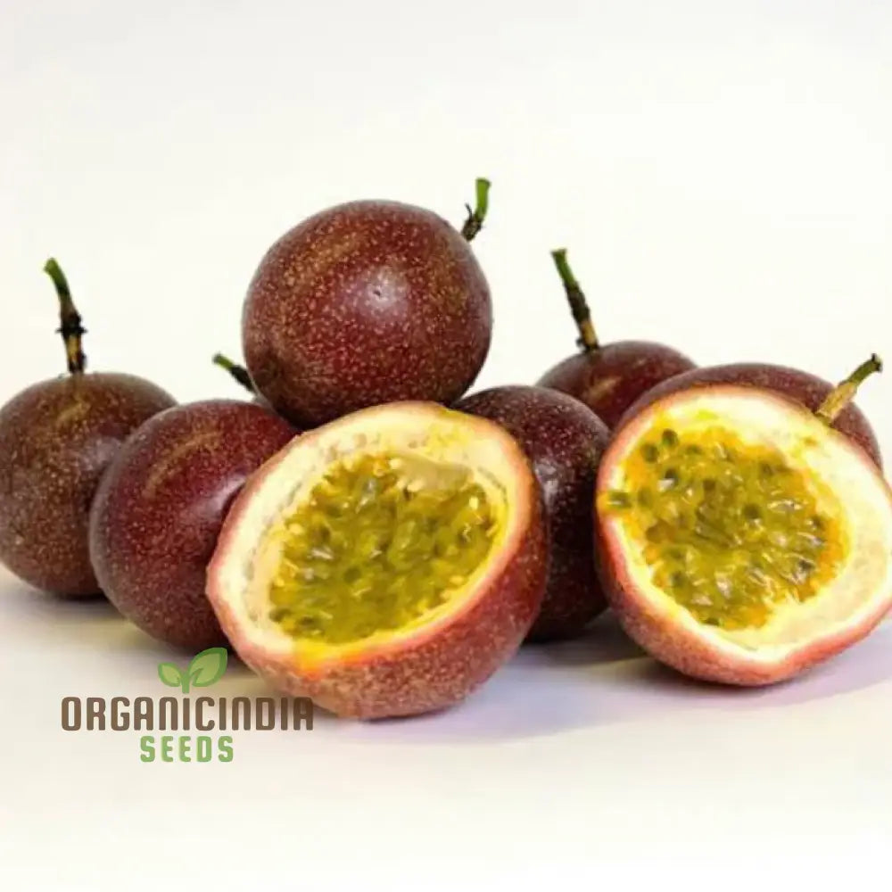 Passionfruit Pandora Seeds Premium Quality For Planting Enthusiasts