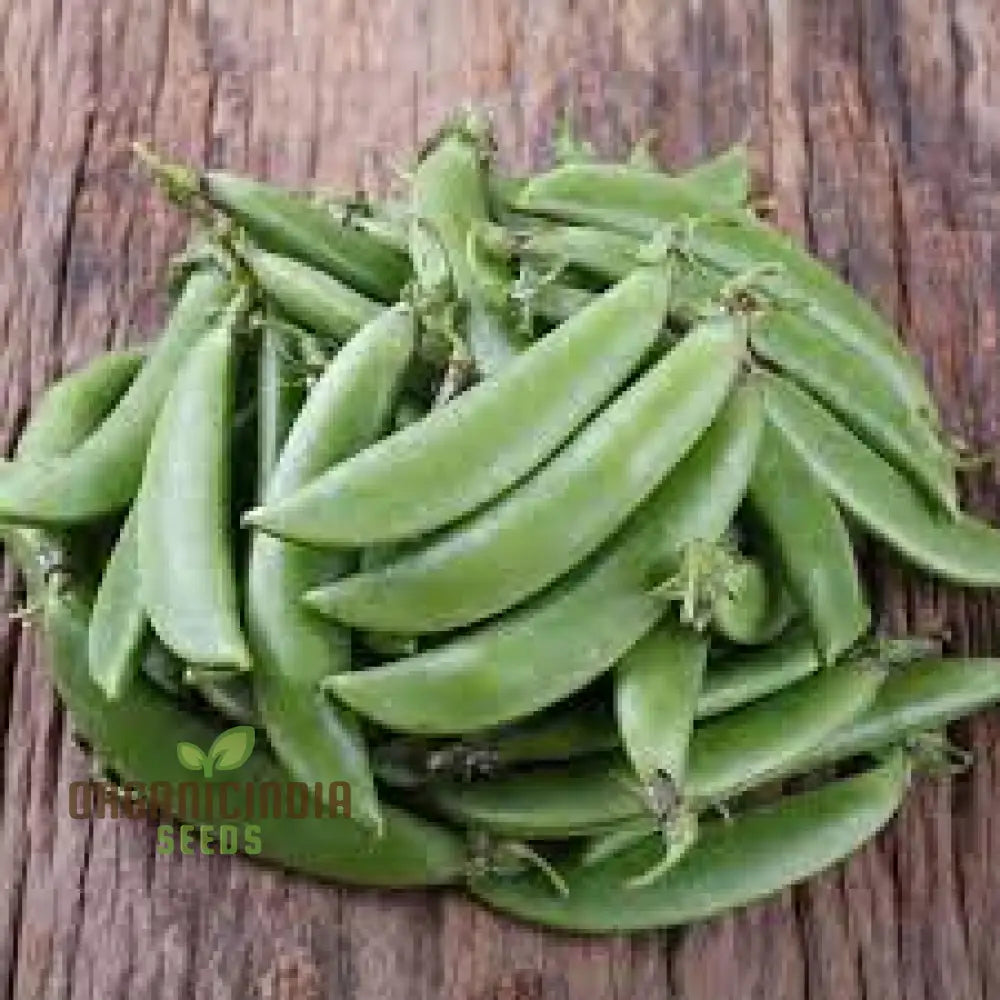 Pea (Sugarsnap) - Bon Seeds For Planting And Gardening Premium Quality