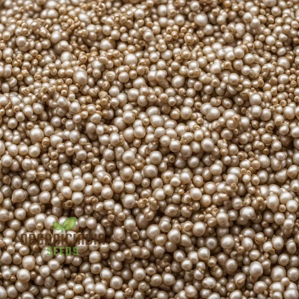 Pearls Of Wisdom Millet Seeds Traditional And Innovative Recipes With Grains