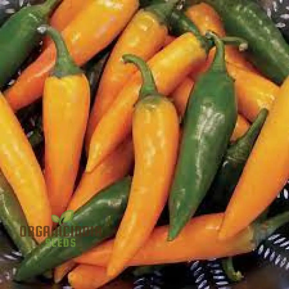 Pepper Bulgarian Carrot Seeds For Planting Your Gardening Adventure