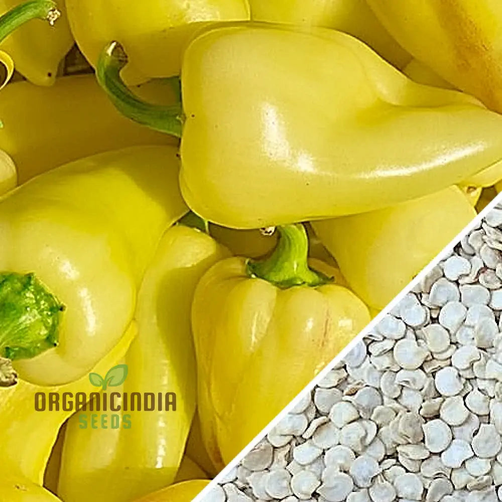 Pepper Caloro Seeds For Your Gardening Needs | Buy Organic Online