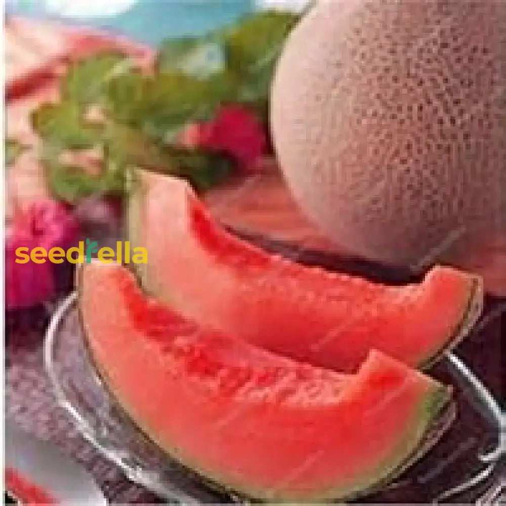 Pink Cantaloupe Seeds For Planting Sweet Melon Fruit