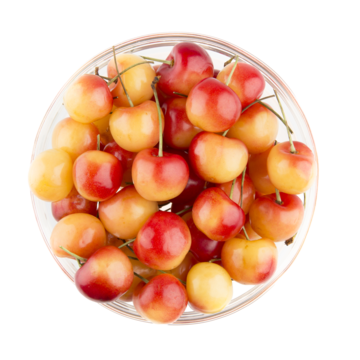 Rainier Sweet Cherry Yellow White Fruit Tree Seeds – 9 Pieces