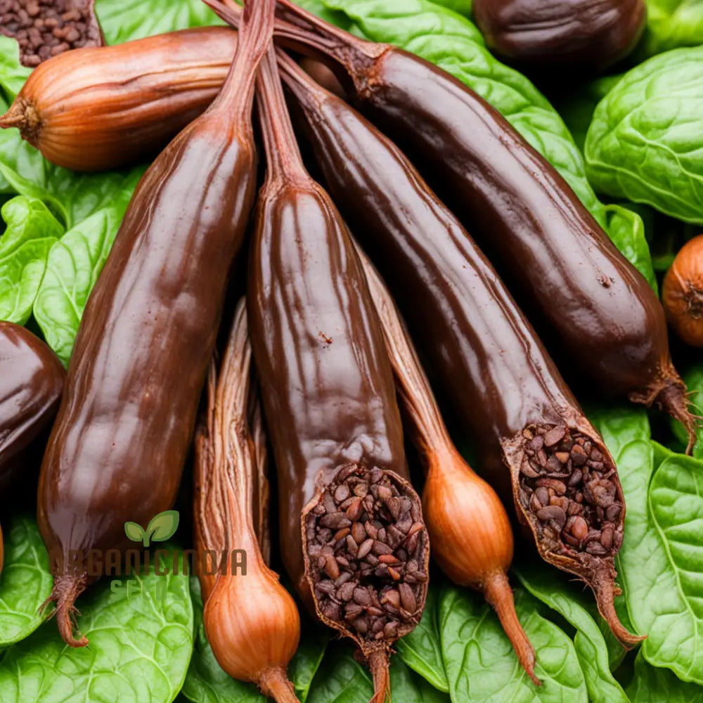 Premium Chocolate Aji Panca Pepper Seeds Add Authentic Peruvian Flavor To Your Garden Nightshades