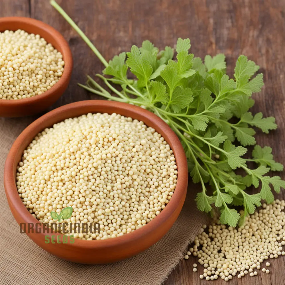 Pure Essence White Mustard Seeds Cultivate Your Garden With Delicate Flavor And Elegance Leafy