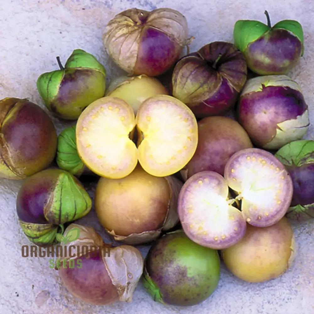 Purple Tomatillo Vegetable Seeds Expert Tips For Successful Planting And Gardening