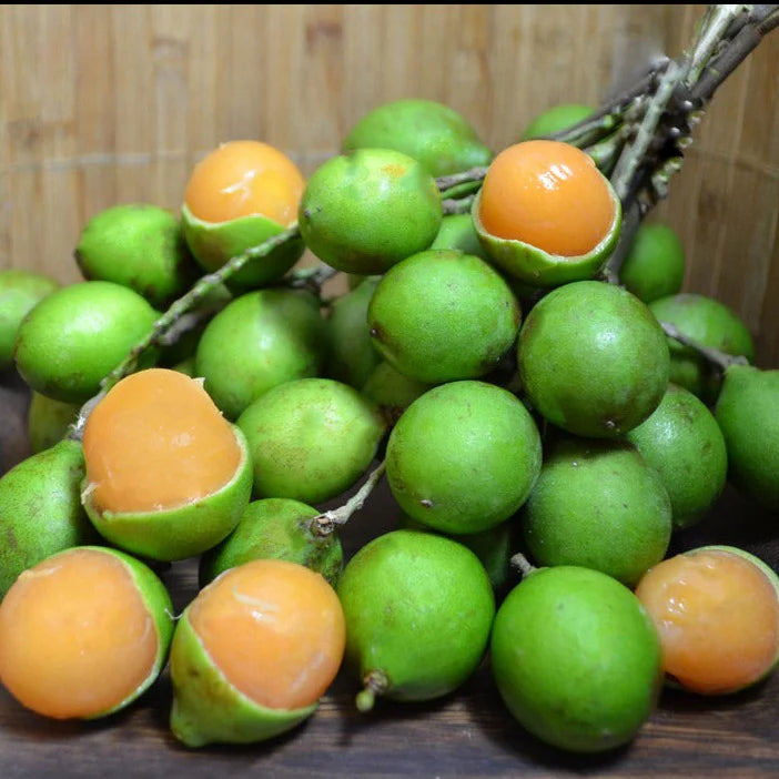 "Lemon Sweet Spanish Lime Seeds, Planting - 100 pcs" - Fruit Seeds