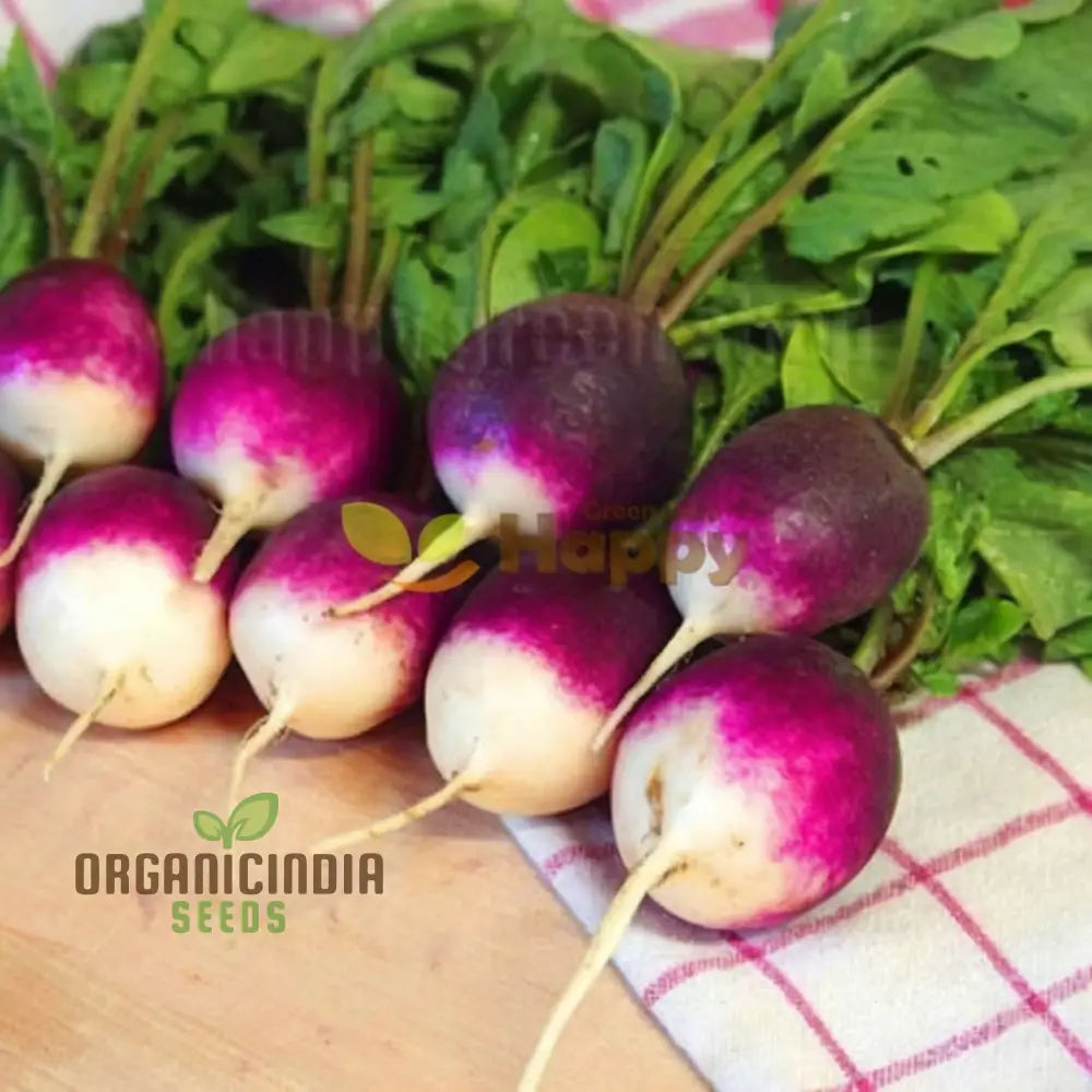 Radishes With Diana Seeds – Enhance Your Gardening Experience High-Quality For Bountiful Harvests