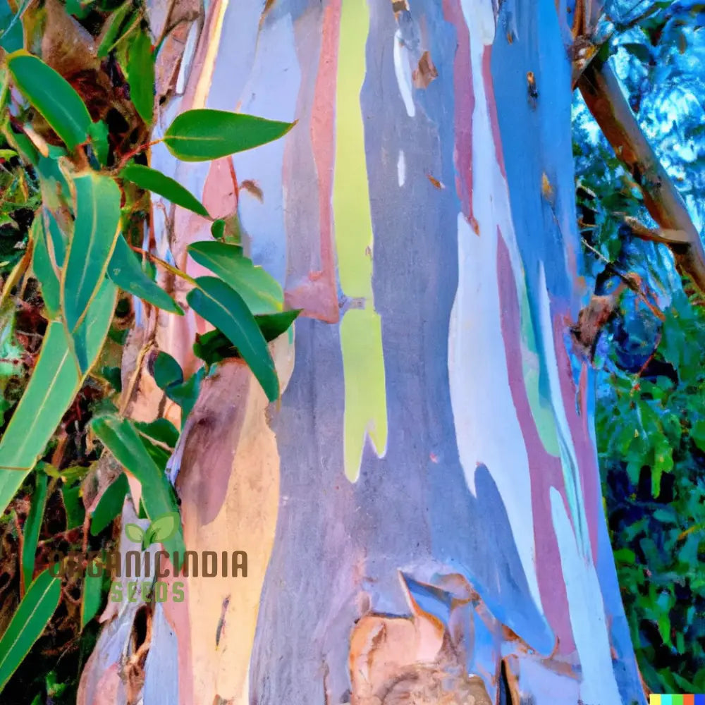 Rainbow Eucalyptus Seeds - Grow Your Own Stunningly Colorful Trees