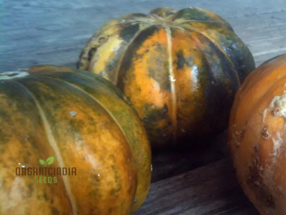 Rare Noir Des Carmes Melon Seeds For Planting: Exquisite Heirloom For Your Gardenâ€™s Summertime