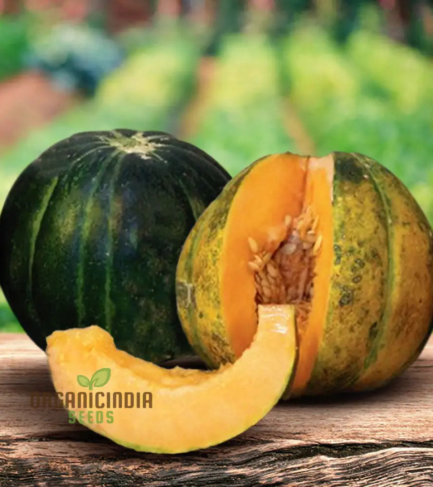 Rare Noir Des Carmes Melon Seeds For Planting: Exquisite Heirloom For Your Gardenâ€™s Summertime