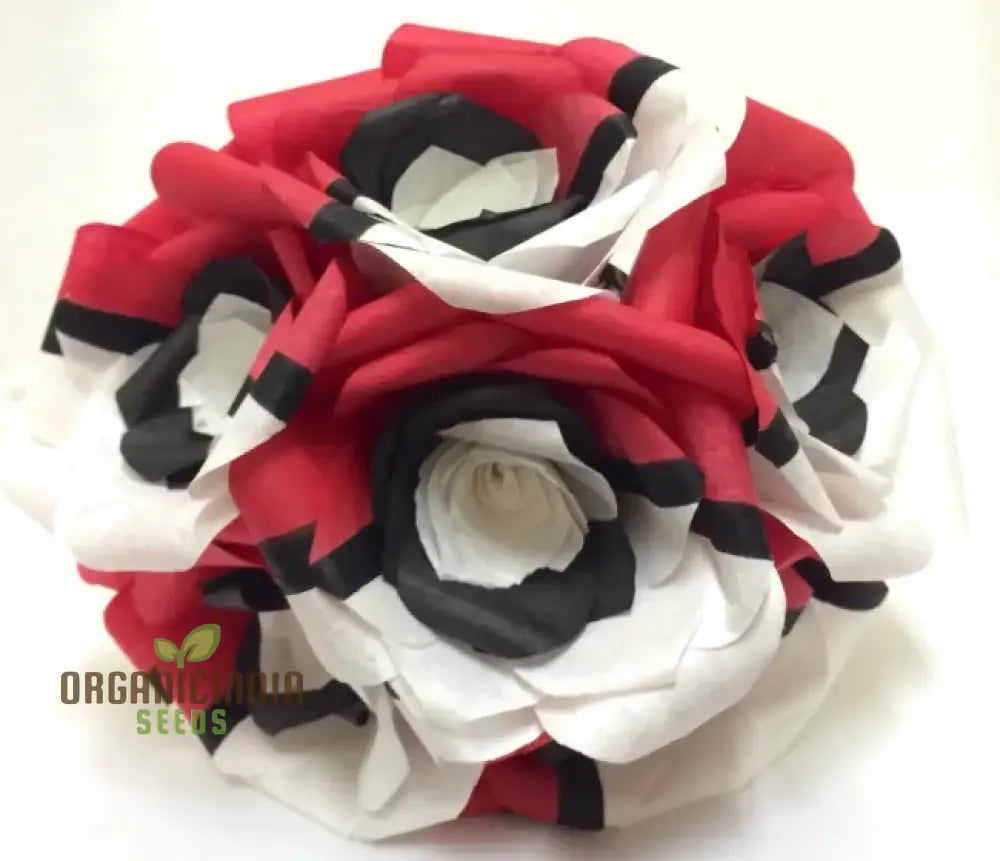 Rare Red White Black Hybridization Rose Flower Seeds | Home Plant Garden Decor Flowers For