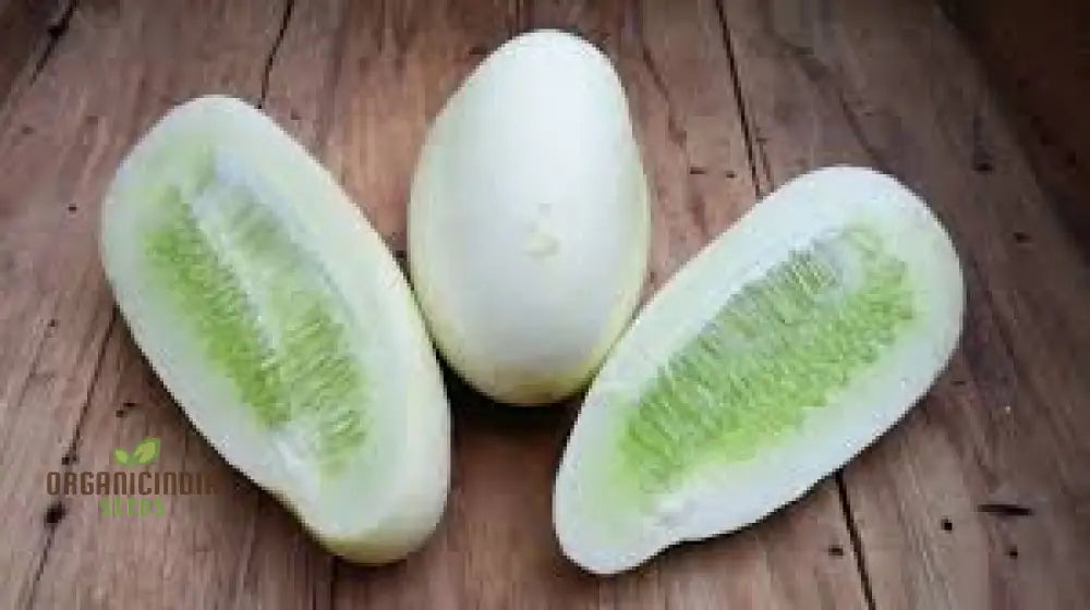 ’Rare White Wonder Cucumber Seeds Planting 100 Pcs’ Vegetable