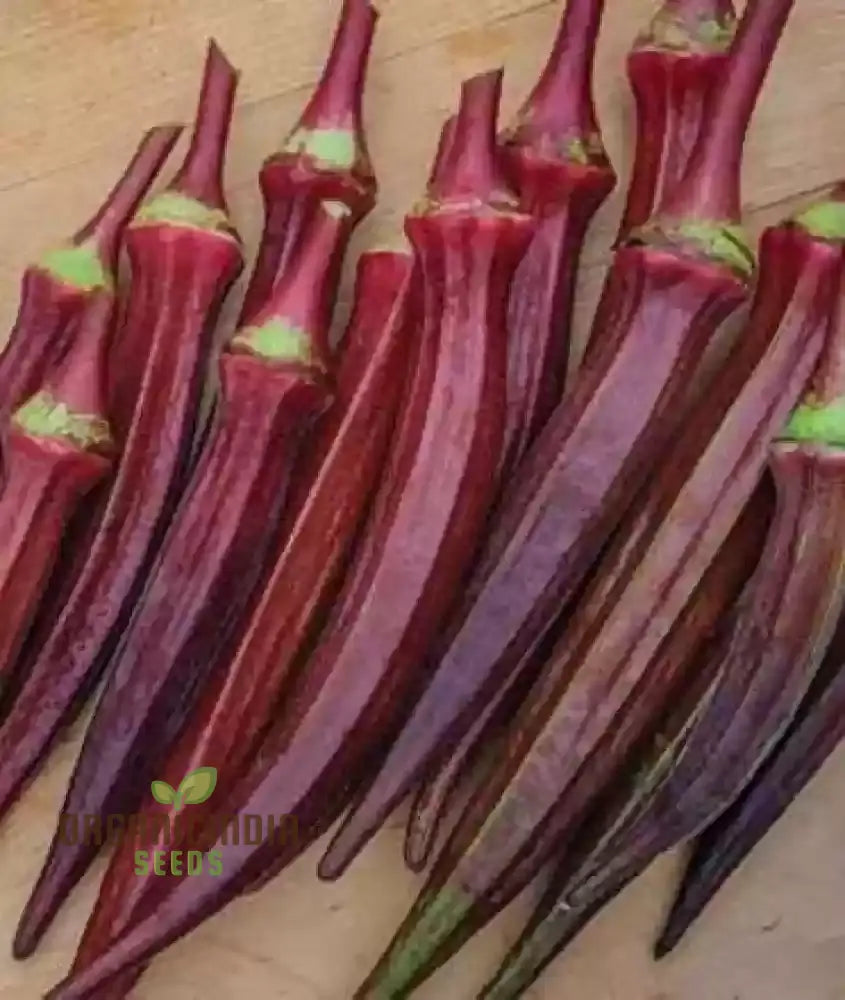 Red Burgundy Okra Seeds For Planting - 100 Pcs Vegetable