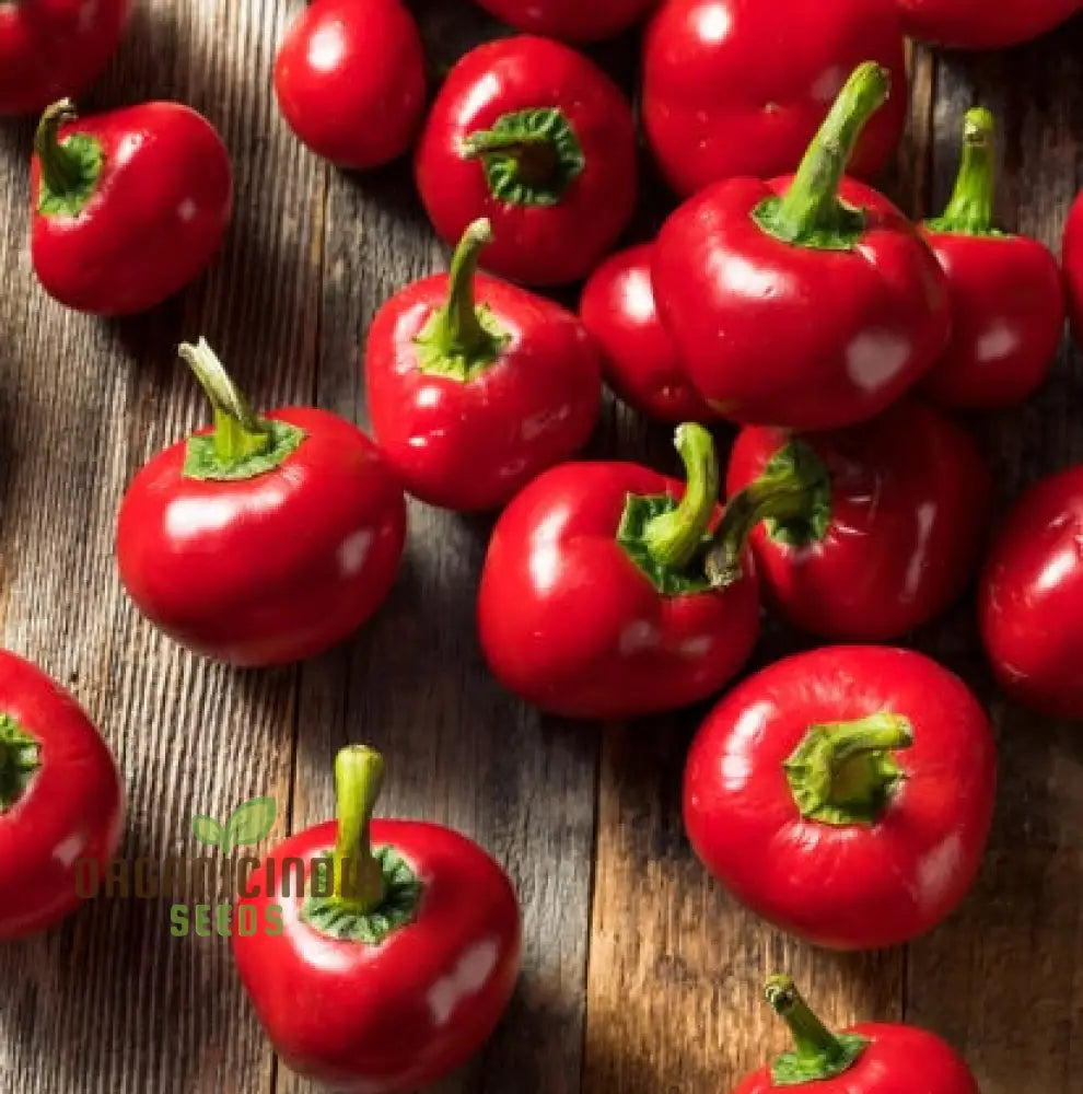 Red Cherry Sweet Pepper Seeds - Organic Flower For Planting