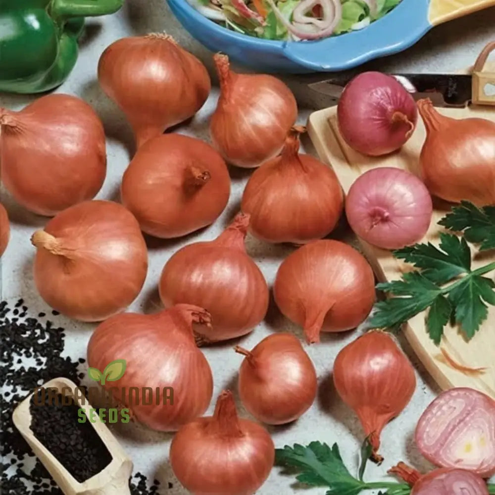 Red Sun Shallot Sets – Elevate Your Gardening Experience With Flavorful Homegrown Alliums