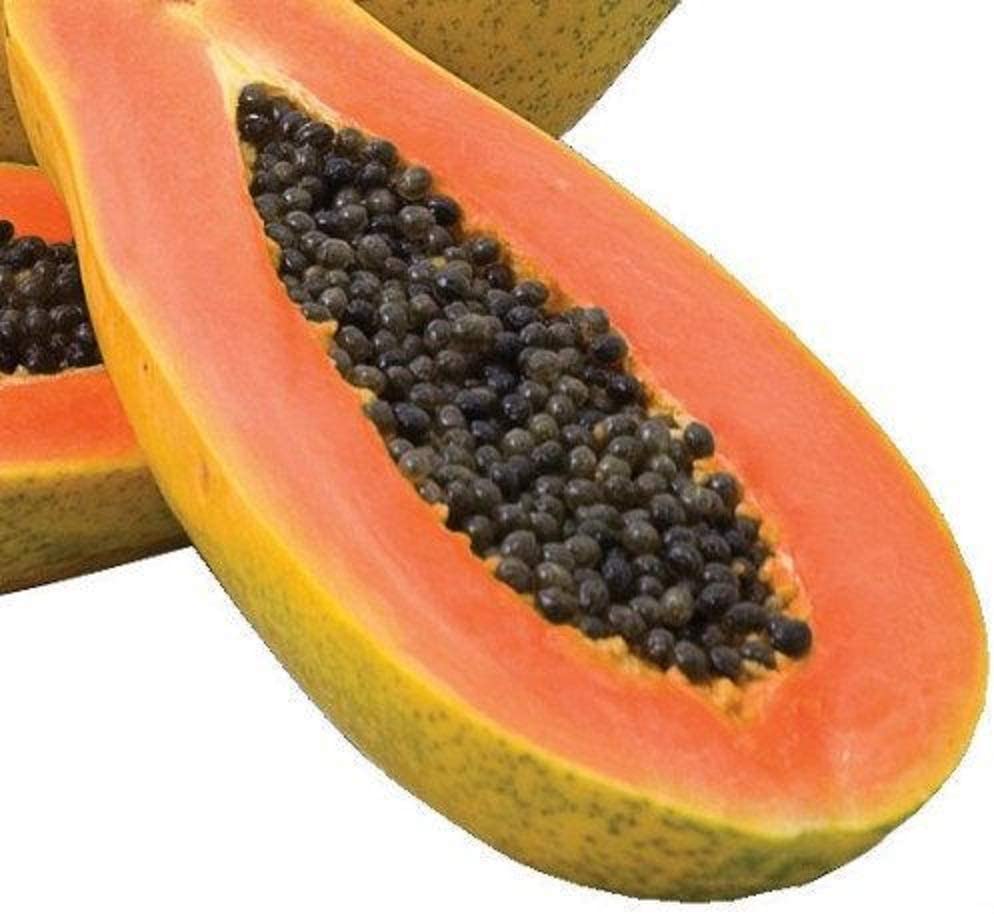 Maradol Papaya Seeds for Planting – Large, Sweet Tropical Fruit