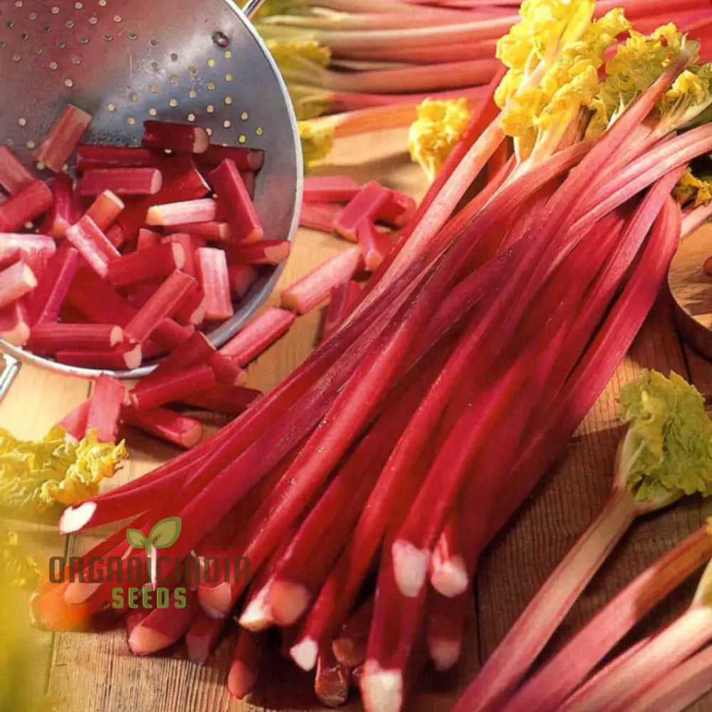 Rhubarb Victoria Seeds For Planting Your Garden | Buy Online