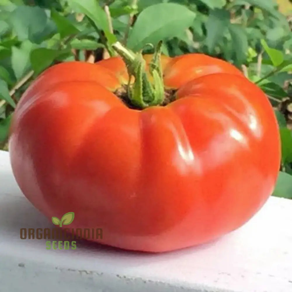 Rutgers Tomato Vegetable Seeds Growing Juicy And Flavorful Harvests With Expert Planting Gardening