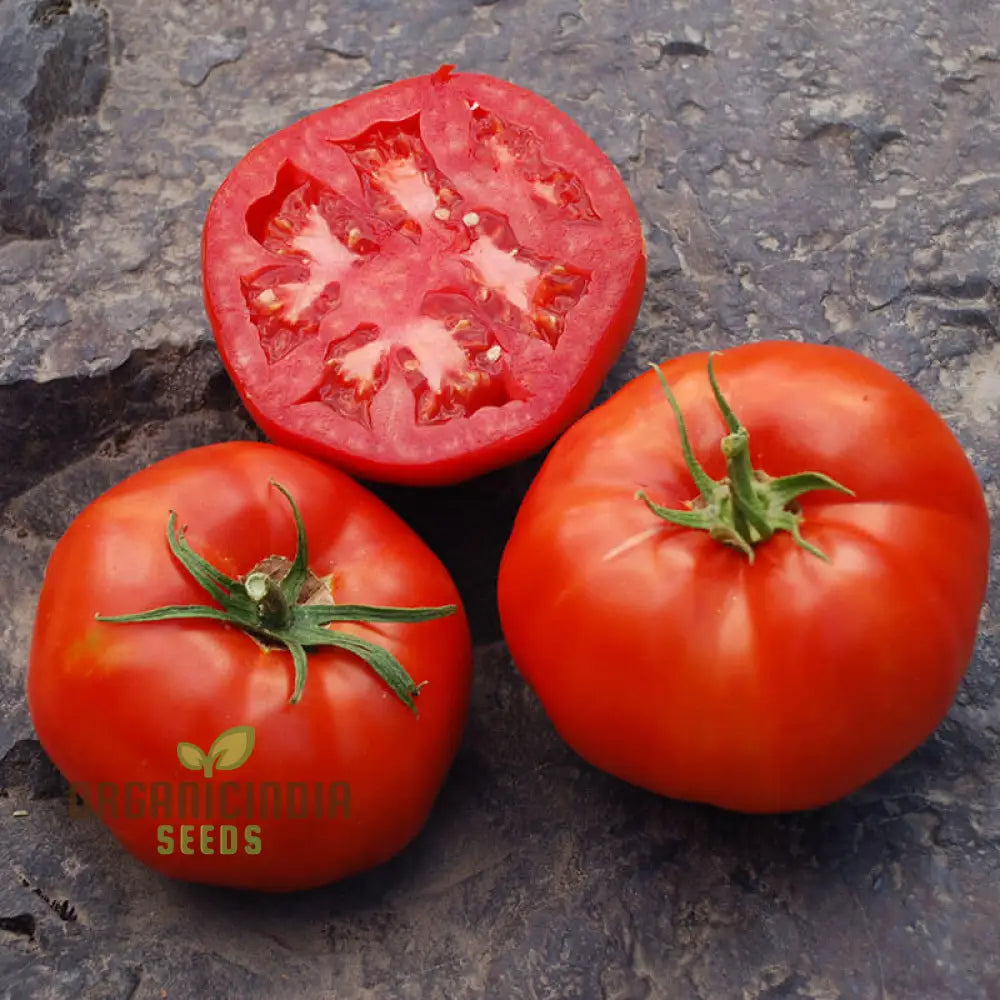 Rutgers Tomato Vegetable Seeds Growing Juicy And Flavorful Harvests With Expert Planting Gardening