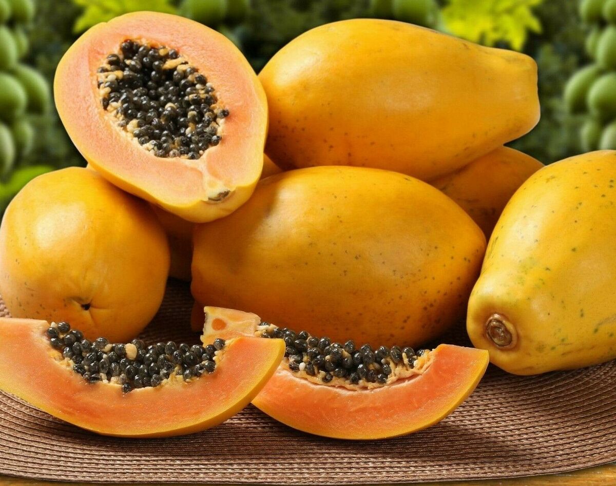 Sunset Papaya Seeds for Planting – Sweet & Juicy Tropical Fruit