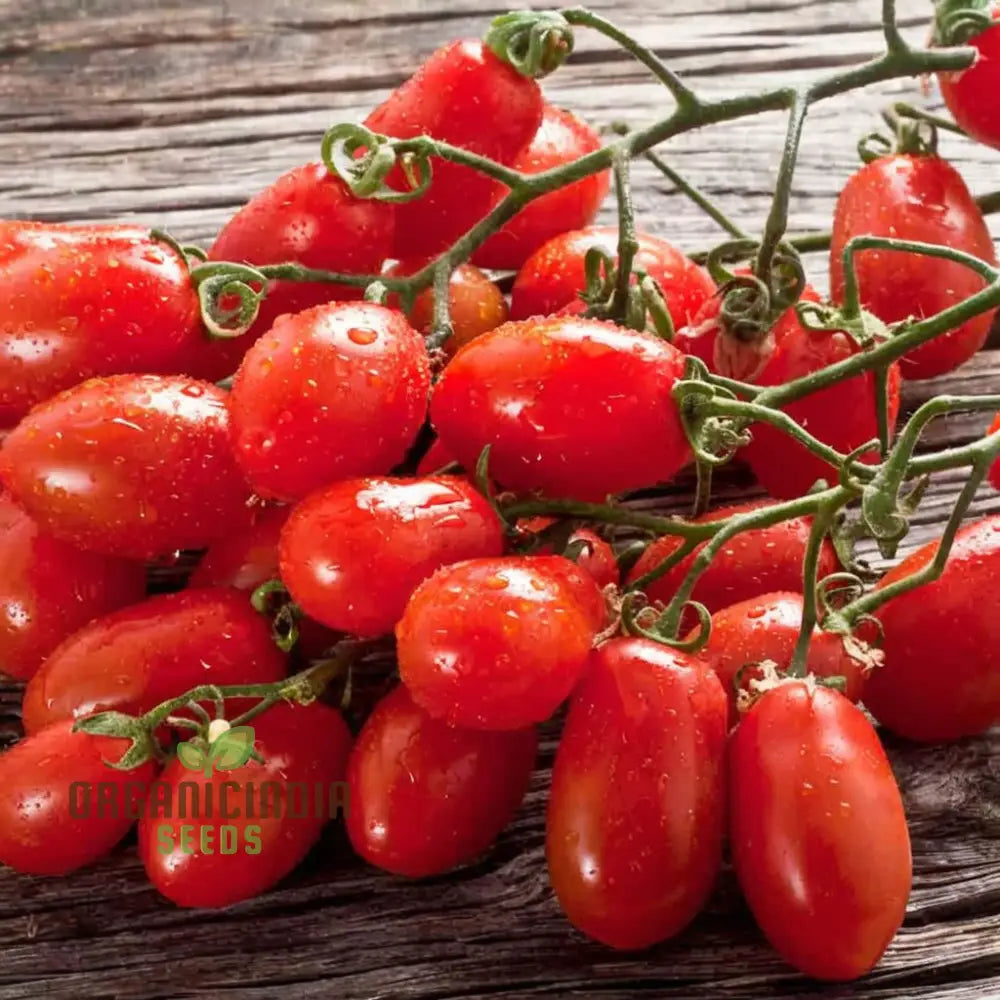 San Marzano Tomato Seeds Heirloom Variety Rich Flavor Perfect For Home Gardens Vegetable