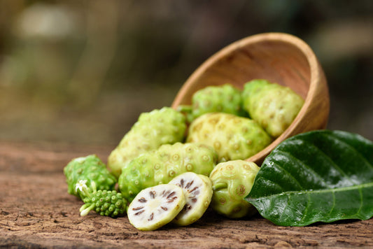 Noni Cheese Fruit Tree Seeds