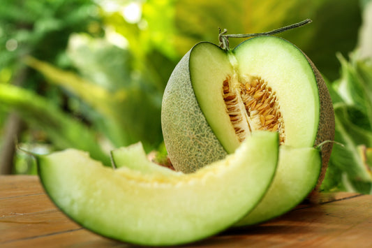 Green Flesh Rocky Ford Cantaloupe Seeds