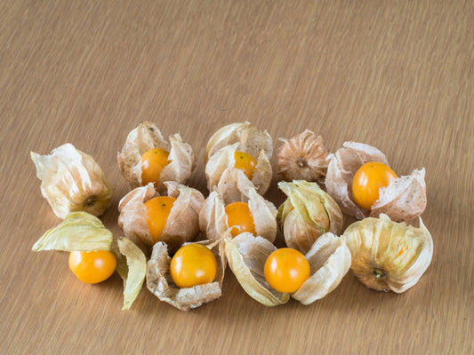 Organic Ground Cherry Seeds