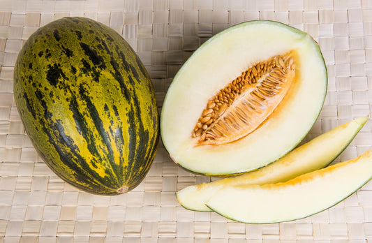 Piel de Sapo Melon (Santa Claus / Christmas Melon) – Green Yellow Fruit Seeds