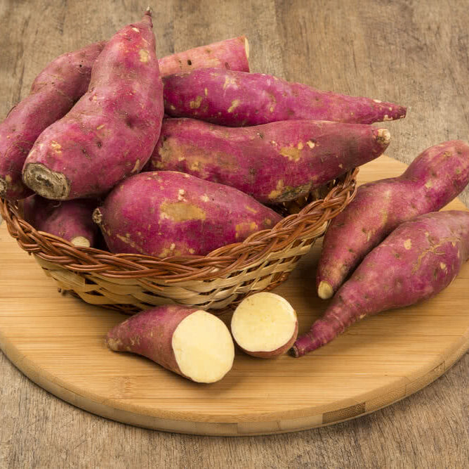 Sweet Potato Vegetable Seeds, Violet Variety for Planting and Home Harvests